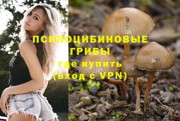 mix Алексеевка