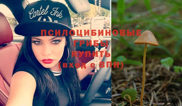 mix Алексеевка