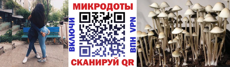Галлюциногенные грибы Magic Shrooms  хочу   Пыталово 
